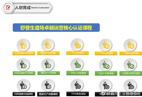 舒普生企業管理咨詢 精益六西格瑪道場，打造企業卓越運營的實戰熔爐